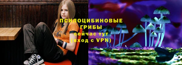 сатива Балабаново
